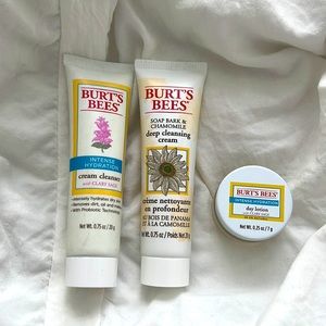 Mini Burts bees cleanser and lotion set